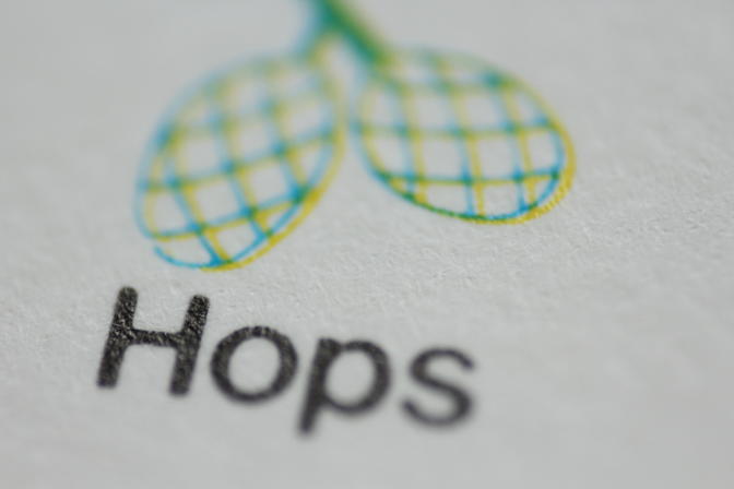 Macro image: 'Hops' with illustration of hop cones, 1970s.
