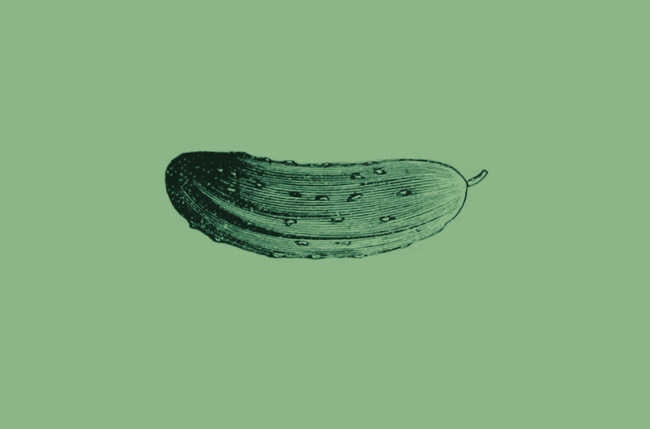 A pickle.