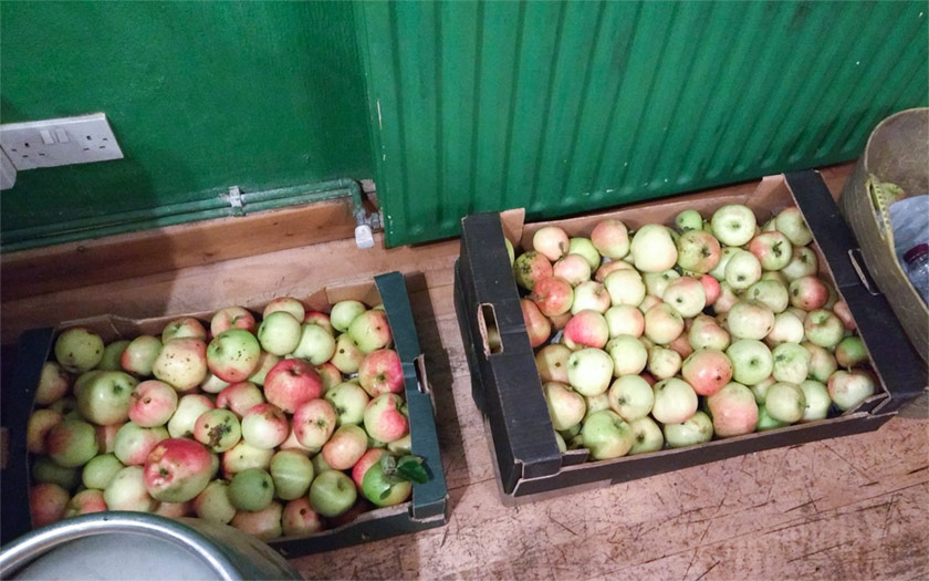 Boxes of apples in the Drapers.