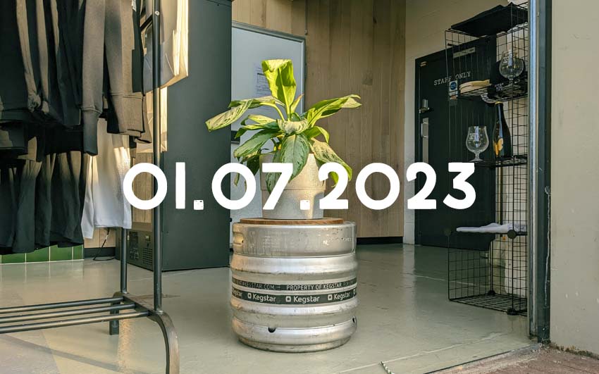 A brewery taproom with a pot plant sitting on a beer keg.