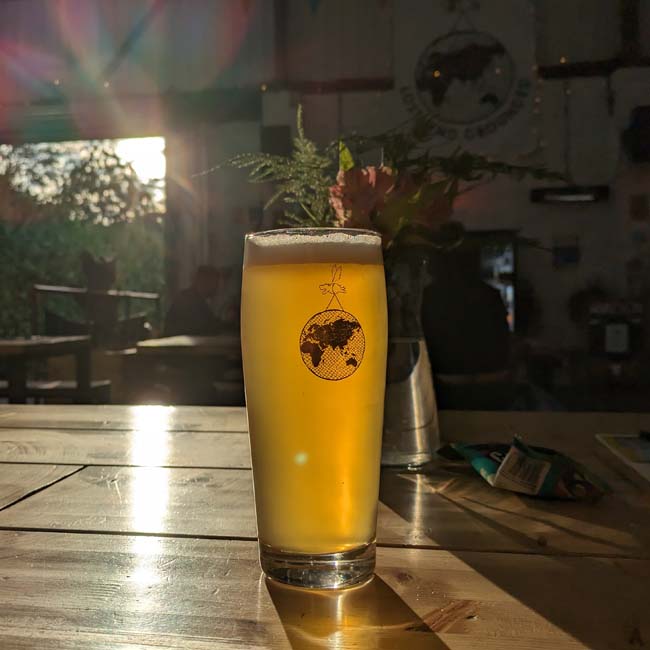 Lost & Grounded Landbier with sunlight glowing behind it in a taproom building.
